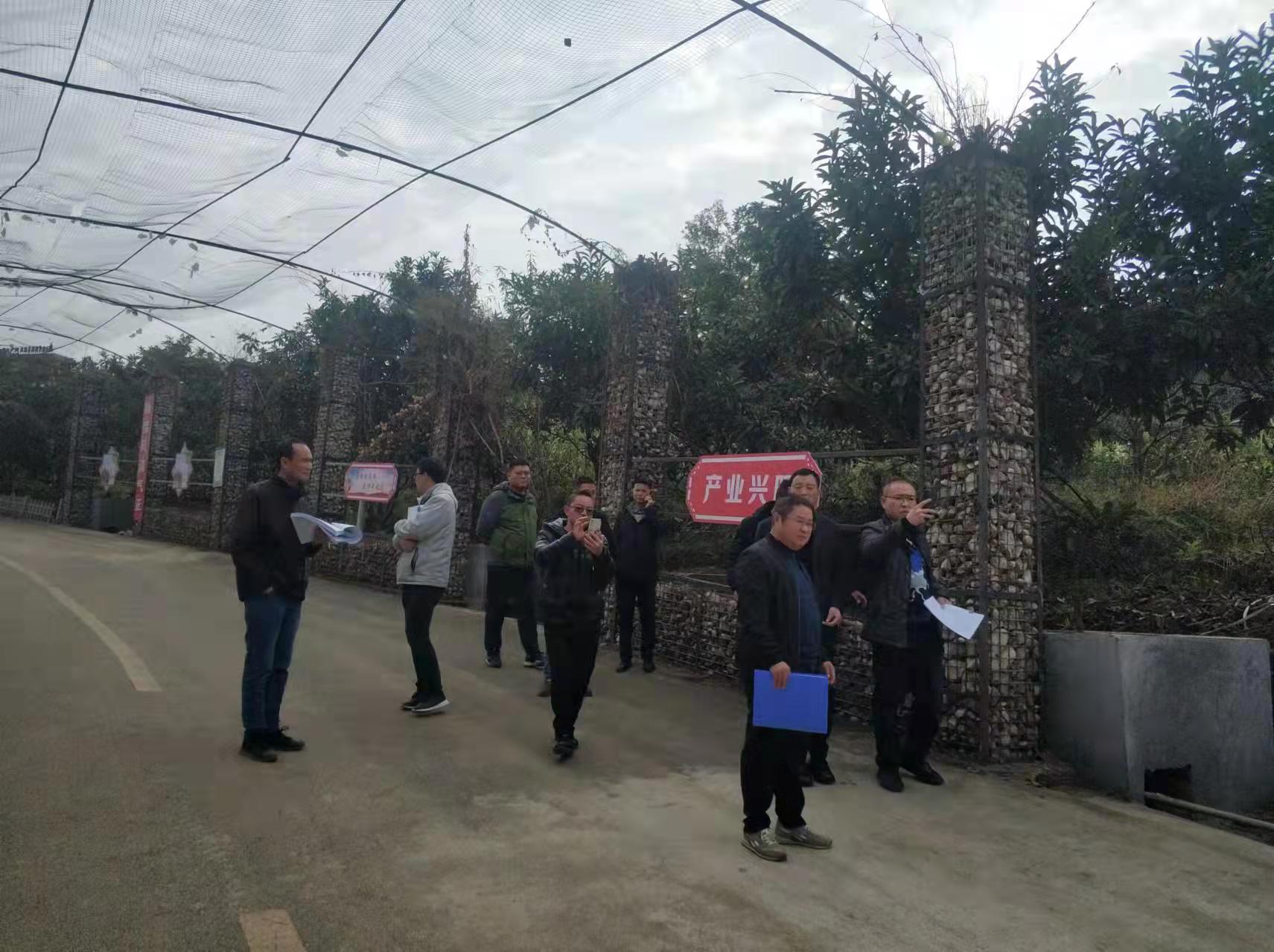 米籮鎮鄉村振興工程驗收