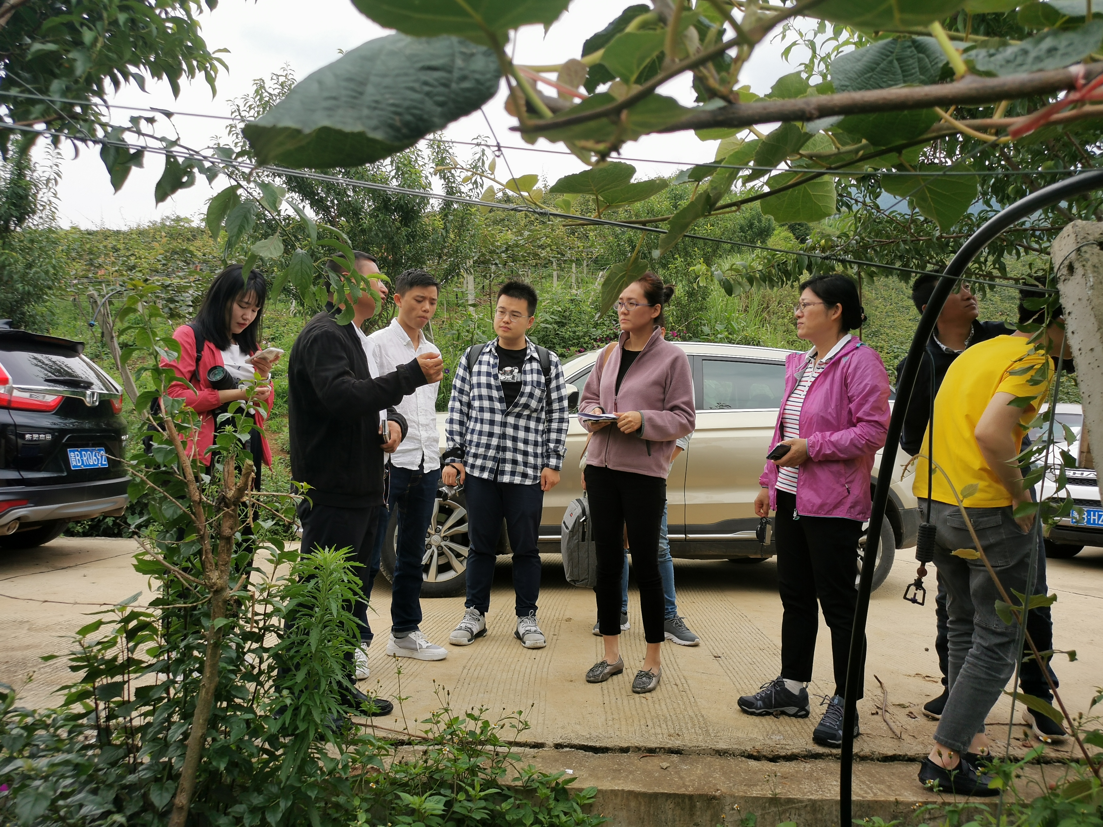 國家扶貧辦領導視察獼猴桃基地